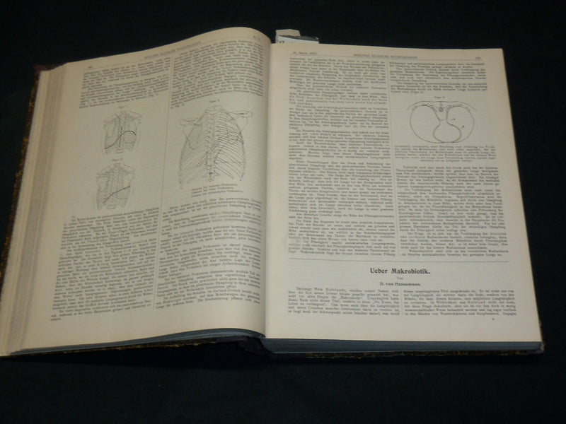 1910 JAN-JUN BERLINER KLINISCHE WOCHENSCHRIFT MAGAZINE BOUND VOLUME - KD 3644C
