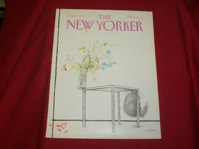 1989 JUNE 5 NEW YORKER MAGAZINE FRONT COVER ONLY - GREAT ART FOR FRAMING
