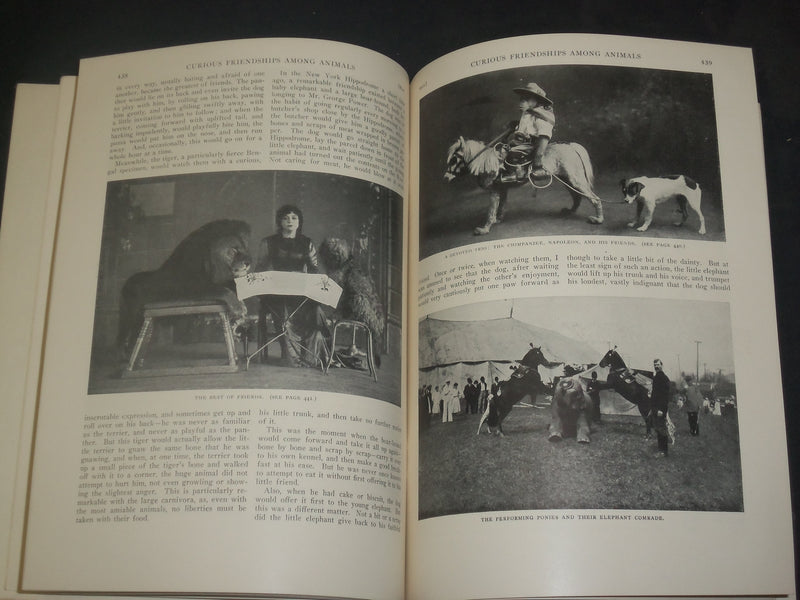 1913 MARCH ST. NICHOLAS MAGAZINE - ILLUSTRATIONS, STORIES & ADS - B 4607