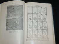1961 THE CERVIX UTERI AND ITS DISEASES BOOK BY FREDERIC FLUHMANN M. D.- KD 2761C