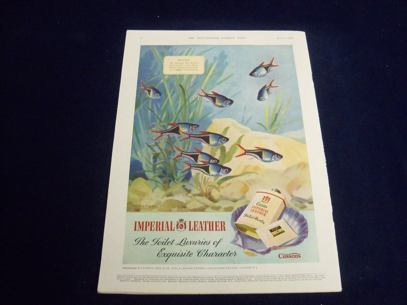 1950 JUNE 3 ILLUSTRATED LONDON NEWS MAGAZINE - 171ST DERBY - E 8137