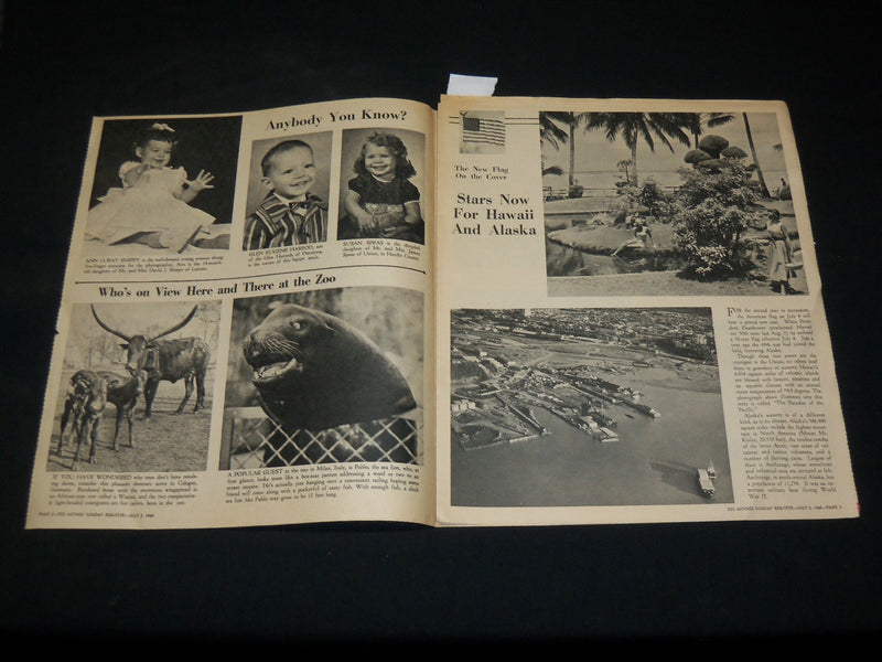 1960 JULY 3 DES MOINES REGISTER PICTURE - AMERICAN FLAG COVER - J 6098