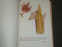 1940 GLASS FLOWERS IN THE WARE COLLECTION BY FRITZ KREDEL BOOK - KD 669