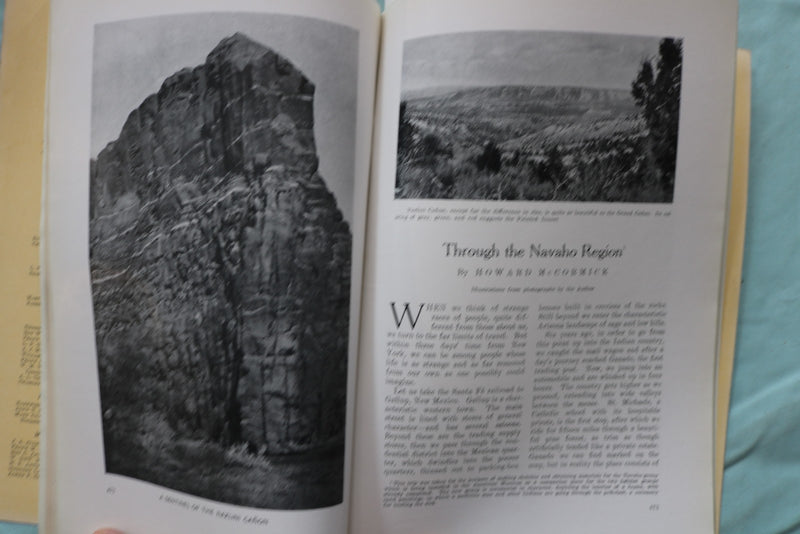 1917 NOVEMBER THE AMERICAN MUSEUM JOURNAL - PENGUINS - SOFTCOVER BOOK - K 3270