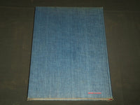 1953 PEINTURE MODERNE BOOK - MAURICE RAYNAL - ALBERT SKIRA - NICE ILLUS - R 275I