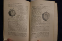 1887 THE ILLUSTRATED STRAWBERRY CULTURIST SOFTCOVER BOOK - ANDREW FULLER- K 1357