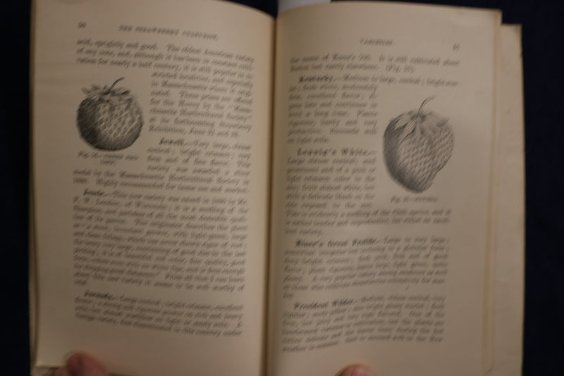 1887 THE ILLUSTRATED STRAWBERRY CULTURIST SOFTCOVER BOOK - ANDREW FULLER- K 1357