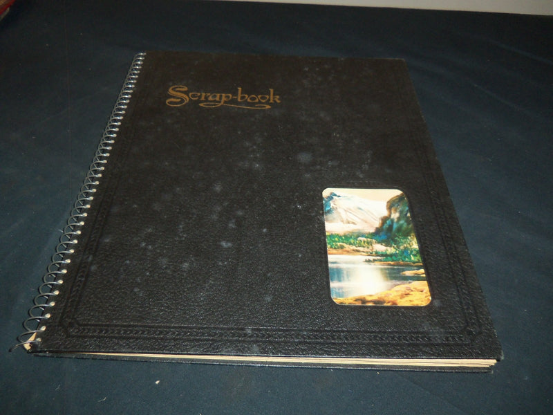 HOLLYWOOD MOVIE STARS SCRAPBOOK - DAVIS - GREAT PHOTOS - 24A