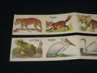 1950'S ANIMAL STRIP CARDS IN HEBREW LOT OF 2 - 10 ANIMALS - J 7010