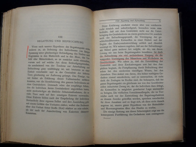 1924 VERSUCH EINER GENITALTHEORIE HARDCOVER BOOK- DR. FERENCZI -GERMAN - KD 8997