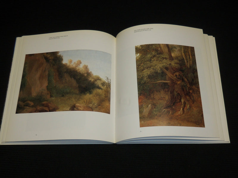 1996 VALENCIENNES 1750-1819 SOFTCOVER BOOK - ITALIAN - NICE PRINTS - R 727I