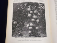 1984 WEST VIRGINIA BLUE BOOK BY TODD C. WILLIS VOLUME NO. 68 - PHOTOS - KD 3090