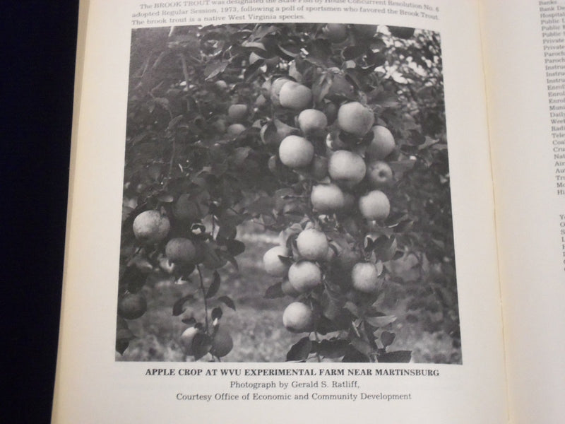 1984 WEST VIRGINIA BLUE BOOK BY TODD C. WILLIS VOLUME NO. 68 - PHOTOS - KD 3090