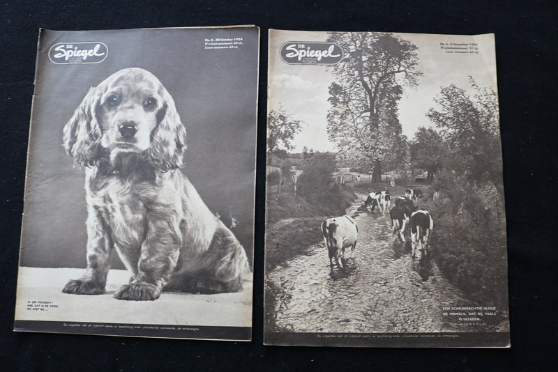 1954 DE SPIEGEL CHRISTELUK NATIONAAL MAGAZINE - LOT OF 21 - DUTCH - O 3705
