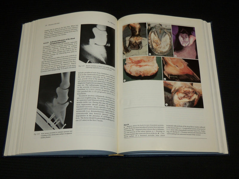 1986 EQUINE DISEASES HARDCOVER BOOK BY HANNS-JURGEN WINTZER - KD 7411