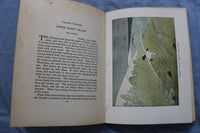 1930 THE WONDRERFUL ADVENTURES OF NILS HARDCOVER BOOK BY SELMA LAGERLOF- KD 9495