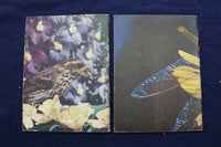 1950'S BIRDS & INSECT PARADE SOFTCOVER BOOKS BY BERTHA PARKER - LOT OF 2- K 1376