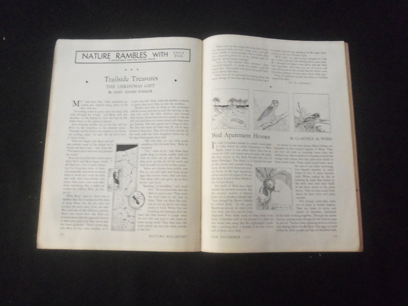 1935 DECEMBER NATURE MAGAZINE - AT THE ICE KING'S BOARD - B 1181N
