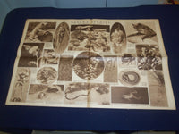 1929 FEB 10 NEW YORK HERALD TRIBUNE GRAVURE SECTION - LINCOLN PORTRAIT - NP 4991