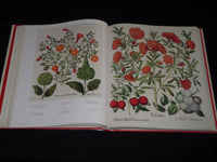 2007 THE BOOK OF PLANTS COMPLETE PLATES BOOK - BY BASILIUS BESLER - D 71