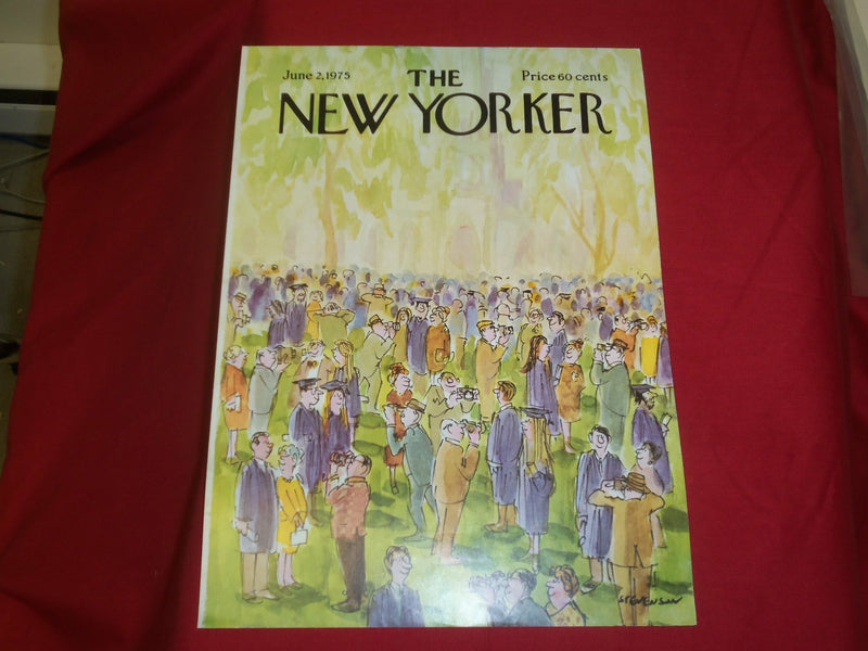 1975 JUNE 2 NEW YORKER MAGAZINE FRONT COVER ONLY - GREAT ART FOR FRAMING