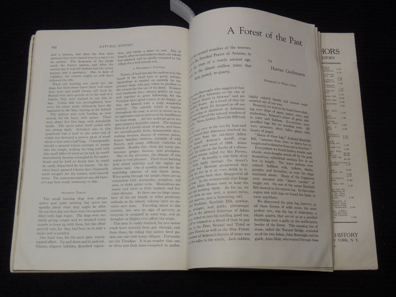 1934 NOVEMBER NATURAL HISTORY MAGAZINE - GREAT PHOTOS - K 2619