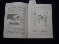 1930'S FIRST AID SOFTCOVER BOOK - METROPOLITAN LIFE INSURANCE COMPANY - J 9629