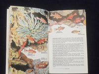 1980 HANDGUIDE TO THE CORAL REEF FISHES OF THE CARIBBEAN HARDCOVER BOOK -KD 8328