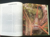 1977 LIFE IN THE CORAL REEF HARDCOVER BOOK - TIME-LIFE TELEVISION - R 735D