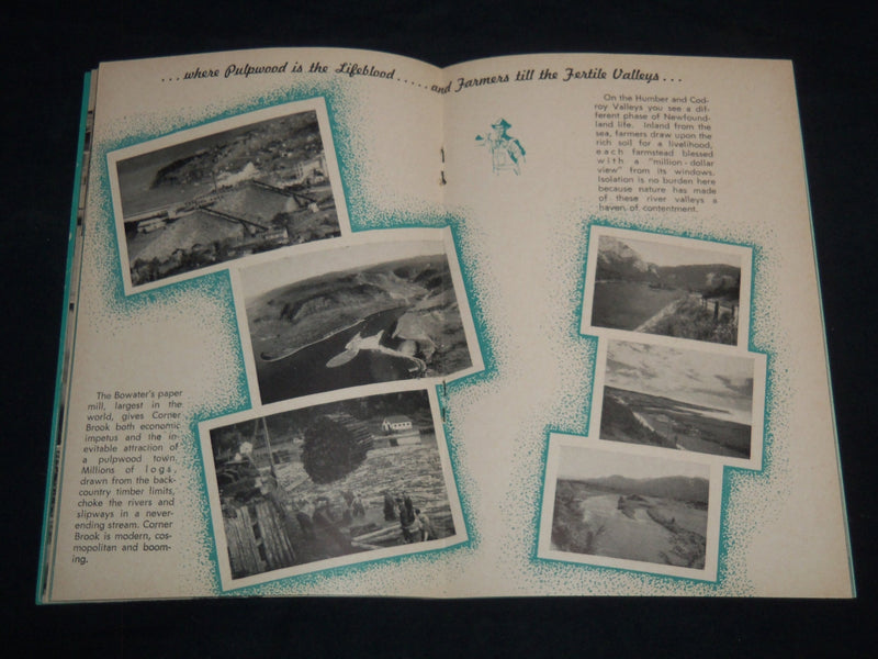 1953 NEW FOUNDLAND CANADA'S NEWEST PROVINCE BOOK - J 8701
