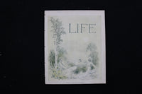 1904 MAY 5 LIFE MAGAZINE - MAY DAY NUMBER COVER - E 10656