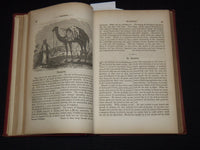 1852 MERRY'S MUSEUM AND PARLEY'S MAGAZINE BOUND VOLUME - GOODRICH - KD 7797