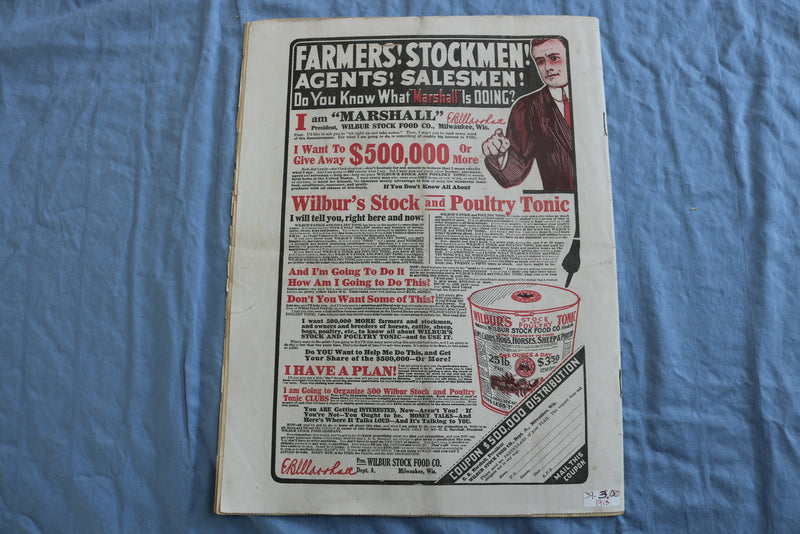 1913 FEBRUARY HOME LIFE MAGAZINE- ILLUSTRATIONS/STORIES/ADS - SP 4784R