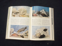 1952 THE BOOK OF FISHES HARDCOVER BOOK EDITED BY JOHN LA GORCE - KD 8279