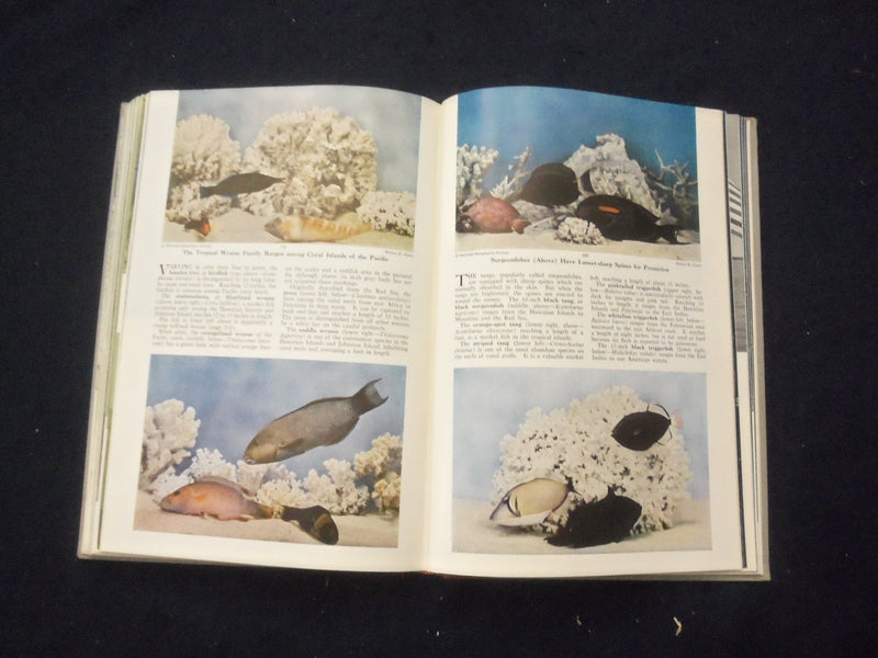 1952 THE BOOK OF FISHES HARDCOVER BOOK EDITED BY JOHN LA GORCE - KD 8279