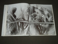 2000 LOUISE LAWLER AN ARRANGEMENT OF PICTURES HARDCOVER BOOK - I 878