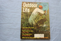 1968 FEBRUARY OUTDOOR LIFE MAGAZINE - ILLUSTRATED COVER, STORIES, PHOTOS- E 9013