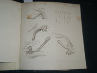 1864-1876 ARCHIV FUR OPHTHALMOLOGIE BOUND VOLUME LOT OF 11 - GERMAN - R 953