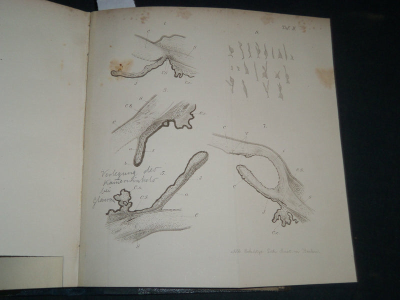 1864-1876 ARCHIV FUR OPHTHALMOLOGIE BOUND VOLUME LOT OF 11 - GERMAN - R 953