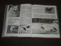 1973 THE ENCYCLOPEDIA OF DOGS EDITED BY PAOLO LECALDANO BOOK - KD 4099