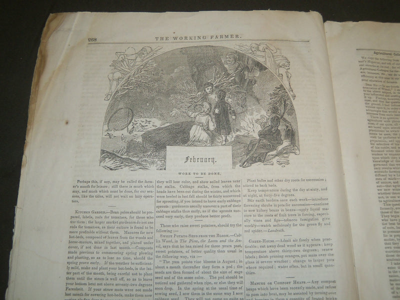 1856 FEBRUARY 1 THE WORKING FARMER DEVOTED TO AGRICULTURE NEWSPAPER - NP 4248
