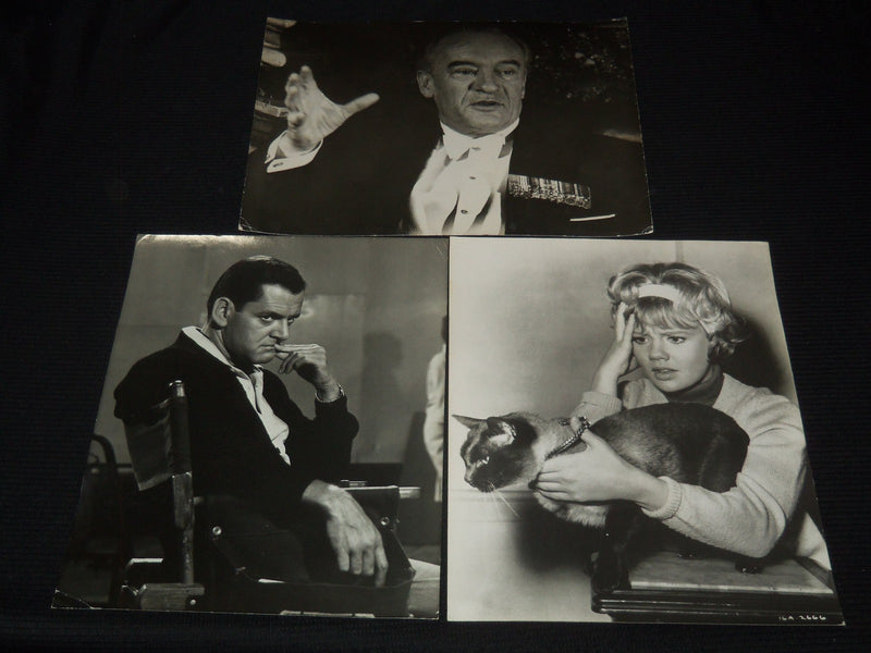 HAYLEY MILLS GEORGE SANDERS TONY RANDALL PUBLICITY PHOTO LOT OF 3 - 11x14 - #191