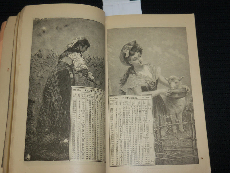 1885 ILLUSTRATED BALTIMORE AMERICAN ALMANAC - SOFTCOVER- J 6863