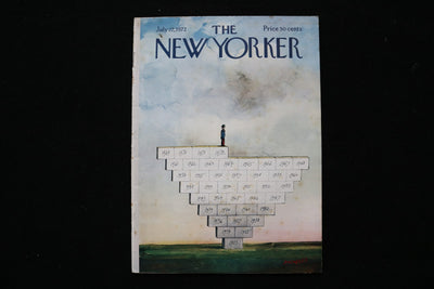 1972 JULY 22 NEW YORKER MAGAZINE - GREAT ILLUSTRATED COVER - NY 2864