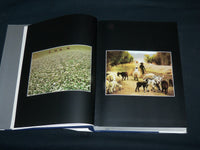 1997 THE ARGENTINE ECONOMY ITS PROTAGONISTS HARDCOVER BOOK - R 702M