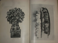 1907 AMER. MUSEUM OF NATURAL HISTORY ANTHROPOLIGICAL PAPERS-VOL 1, PART 1-J 4398