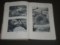 1948-1950 ORDER PASSERIFORMES BULLETINS BY ARTHUR BENT LOT OF 2- WR 955F
