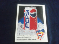 1995 FEB 19 37TH DAYTONA 500 RACING PROGRAM W/PATCH - GREAT PHOTOS - SP 3744H