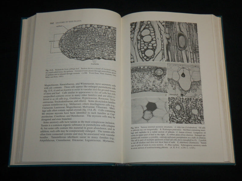 1966 ANATOMY OF SEED PLANTS HARDCOVER BOOK BY KATHERINE ESAU - KD 6949