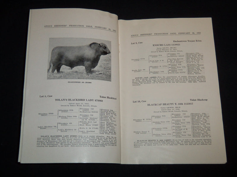 1952 EILEENMERE ABERDEEN-ANGUS BREEDERS' CATTLE SALE CATALOG - ILLINOIS - J 9111